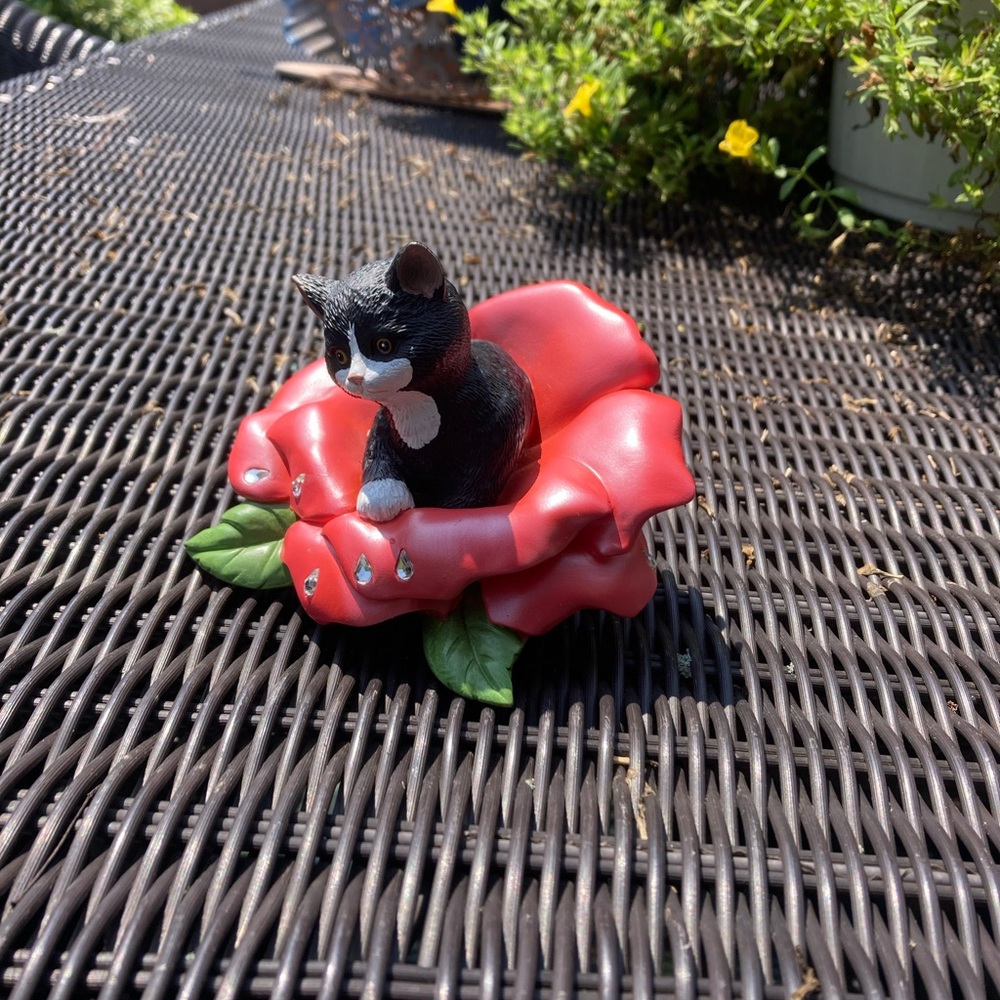 Jake Jensen Purr-fection collection of cats